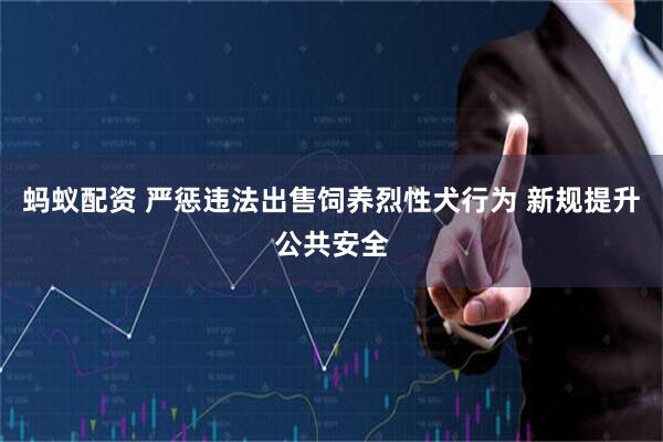 蚂蚁配资 严惩违法出售饲养烈性犬行为 新规提升公共安全