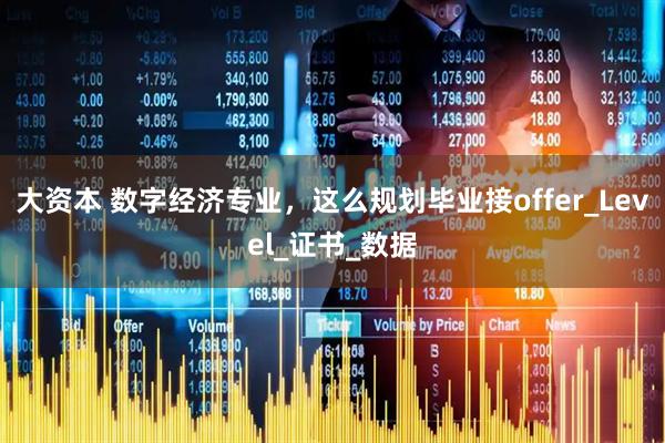 大资本 数字经济专业，这么规划毕业接offer_Level_证书_数据