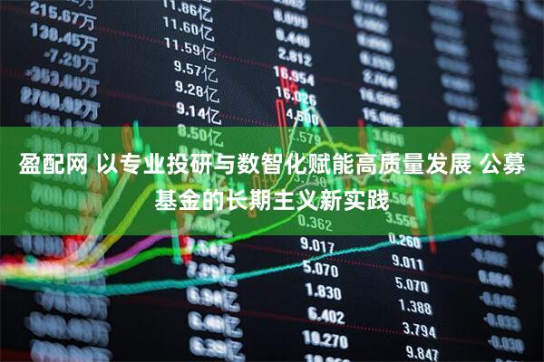 盈配网 以专业投研与数智化赋能高质量发展 公募基金的长期主义新实践