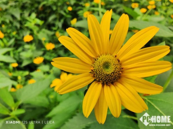 大众配资 从能拍到会拍：第五代骁龙8至尊版重塑移动影像边界